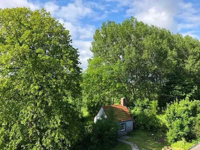 Gulfhof Friedrichsgroden Villa Carolinensiel Exterior foto